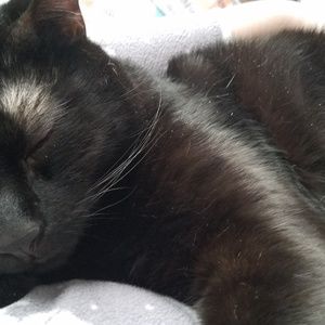 Meet your Posher, Ruthann